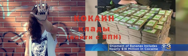 дурь Новодвинск
