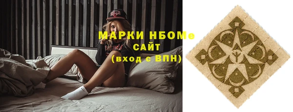 дурь Новодвинск