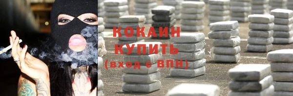 дурь Новодвинск