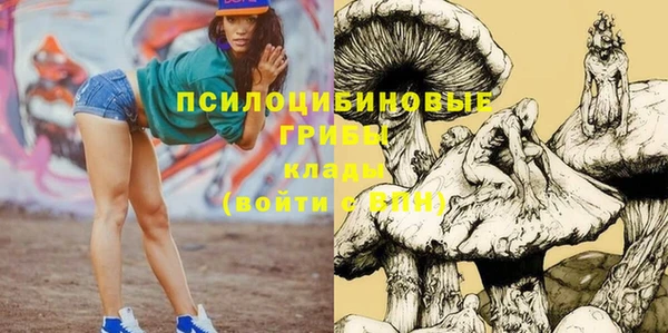 дурь Новодвинск