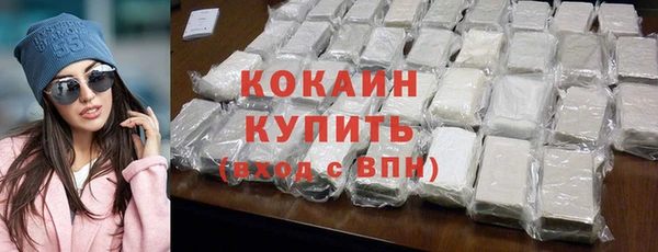 индика Весьегонск