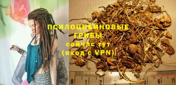 ПСИЛОЦИБИНОВЫЕ ГРИБЫ Осташков