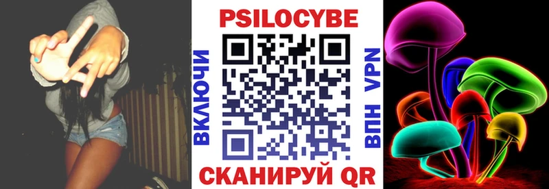 Псилоцибиновые грибы Psilocybe  мега   Мичуринск 