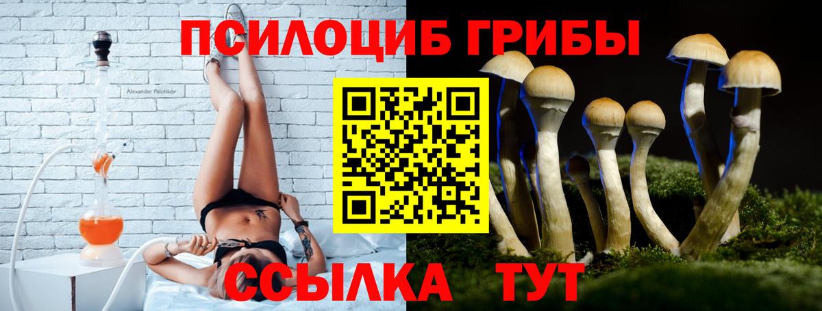 Мичуринск  Галлюциногенные грибы GOLDEN TEACHER  Вход с VPN 