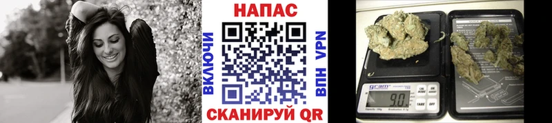 блэк спрут зеркало  даркнет сайт  Мичуринск  Конопля Bruce Banner 